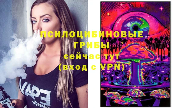 дмт Покачи