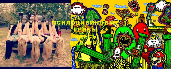 дмт Абаза